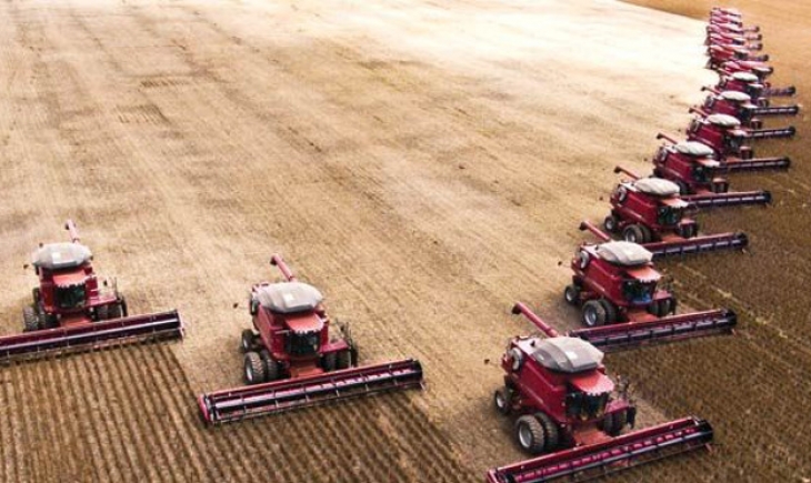 Aumento de área plantada coloca MS entre os maiores produtores de grãos do país