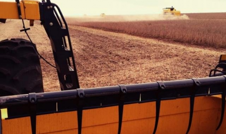 Colheita da soja chega a 85% e milho já ocupa maior parte das lavouras