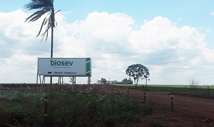 Biosev negocia a venda de mais usinas de cana e fontes citam planejamento de venda de usina no Centro-Oeste onde esta localizada unidade de Maracaju.