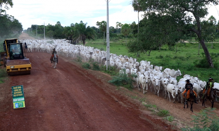 Estado inicia cascalhamento de mais uma estrada implantada no Pantanal