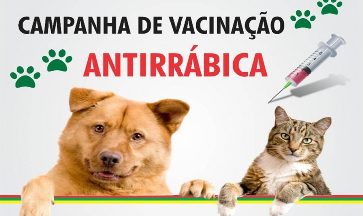 Maracaju inicia vacinação antirrábica de cães e gatos. Confira calendário.