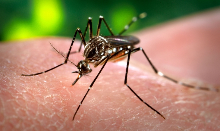 Saúde confirma primeira morte por dengue neste ano em MS
