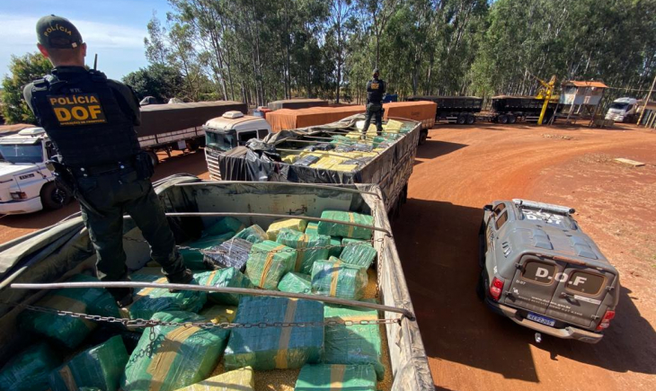 DOF apreende quase 7 toneladas de maconha em carreta bitrem que seguia para o Paraná 