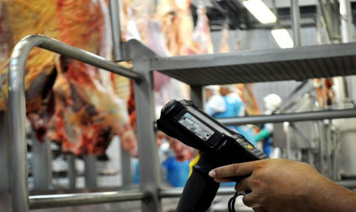 Programa Precoce MS ajuda Mato Grosso do Sul a produzir a melhor carne do Brasil
