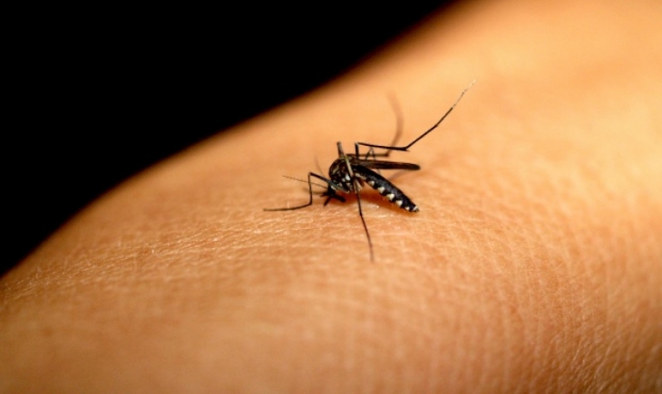 Mato Grosso do Sul tem 3ª maior incidência de casos de dengue no país, diz Ministério da Saúde.
