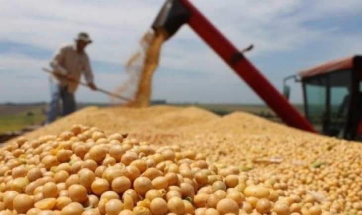 Colheita de soja tem queda de 11% devido a estiagem no final do ano