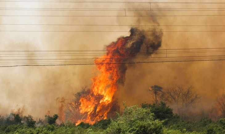 Área queimada no Pantanal chega a 122 mil hectares e força-tarefa intensifica combate