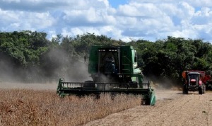 Campo Grande expande fronteira agrícola com soja