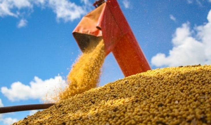 Preço da soja acumula queda de 3,59% nos seis primeiros dias de agosto