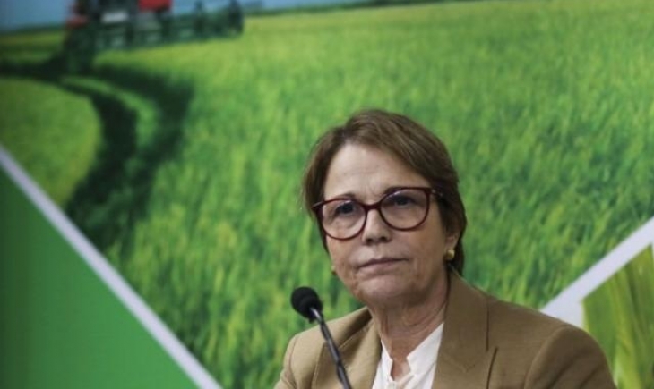 Acordo UE-Mercosul: ministra não vê entraves às exportações do Brasil