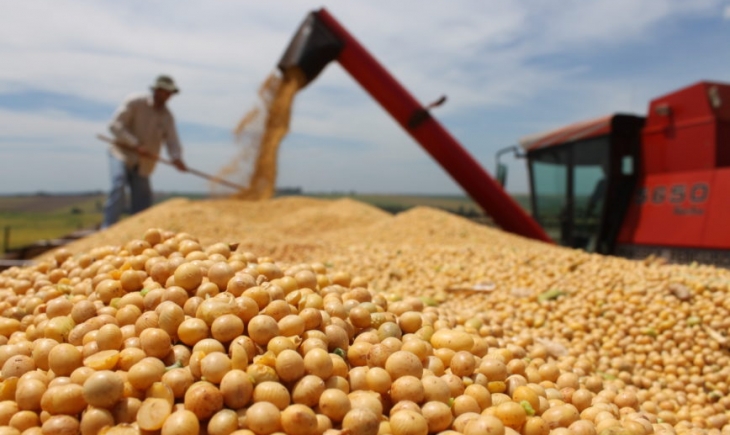 Com mais de 90% colhida, safra de soja confirma aumento de 20% em relação ao ano passado