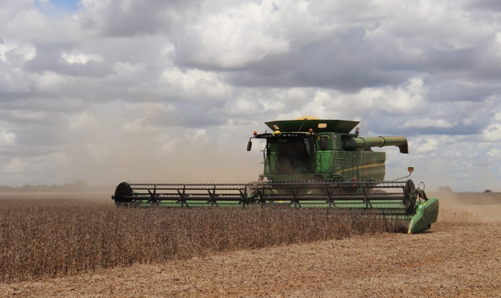 Colheita de soja na safra 2019/2020 atinge 82,6% da área plantada em Mato Grosso do Sul