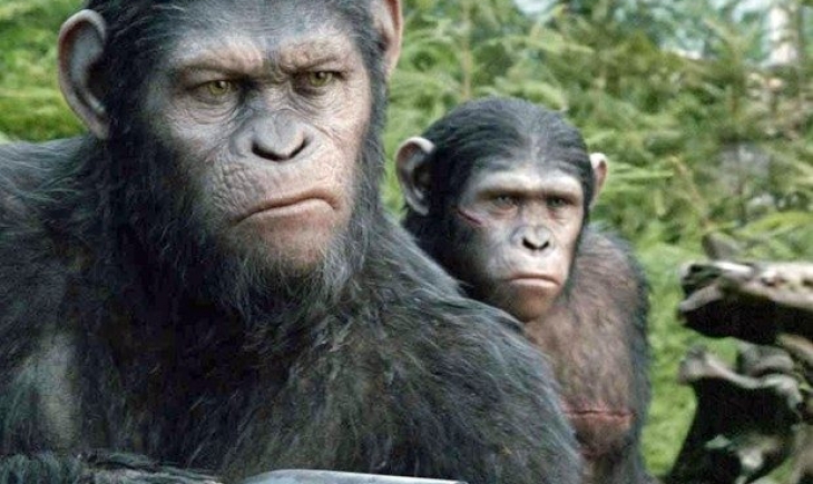 “Tela Quente” exibe o filme “Planeta Dos Macacos: O Confronto” nesta segunda (1)