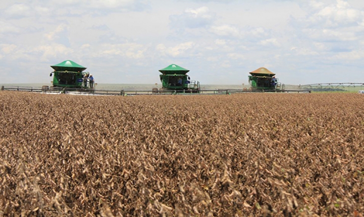 Agropecuária de Mato Grosso do Sul e Mato Grosso mantém força e segura crescimento do PIB