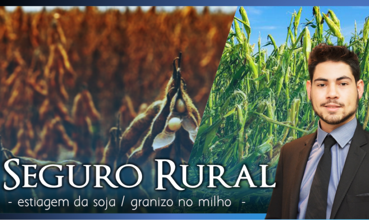 Seguro Rural: Estiagem abriu margem para derrubar negativas mesmo com soja já colhida e granizo motiva seguro do milho.