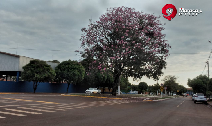 Previsão é de temperatura máxima de 26 graus nesta terça-feira em Maracaju.