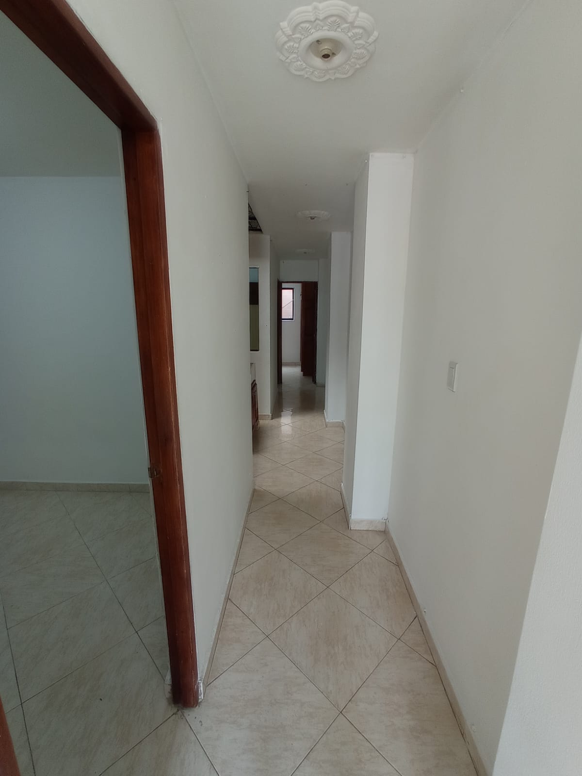 CAMPO AMOR, MEDELLÍN - APAR00998