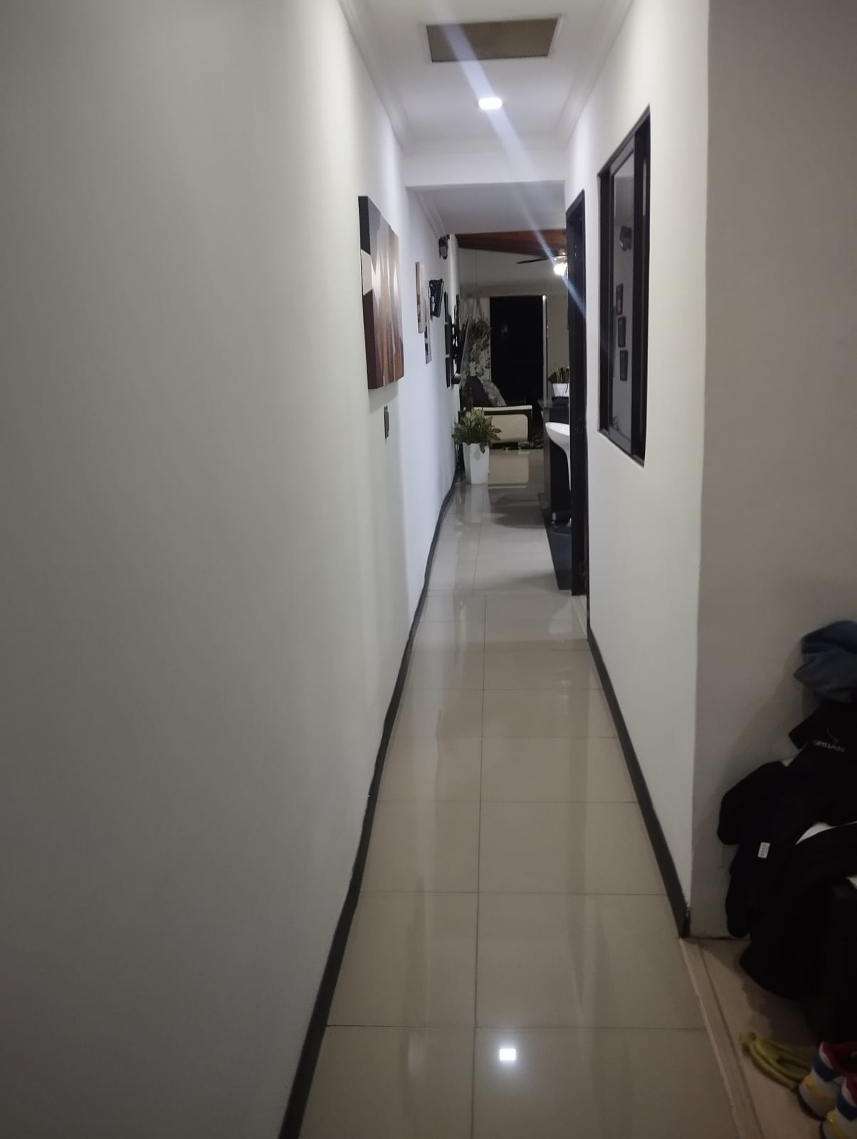 ACASIAS-GUAYABAL, MEDELLÍN - APVE01061