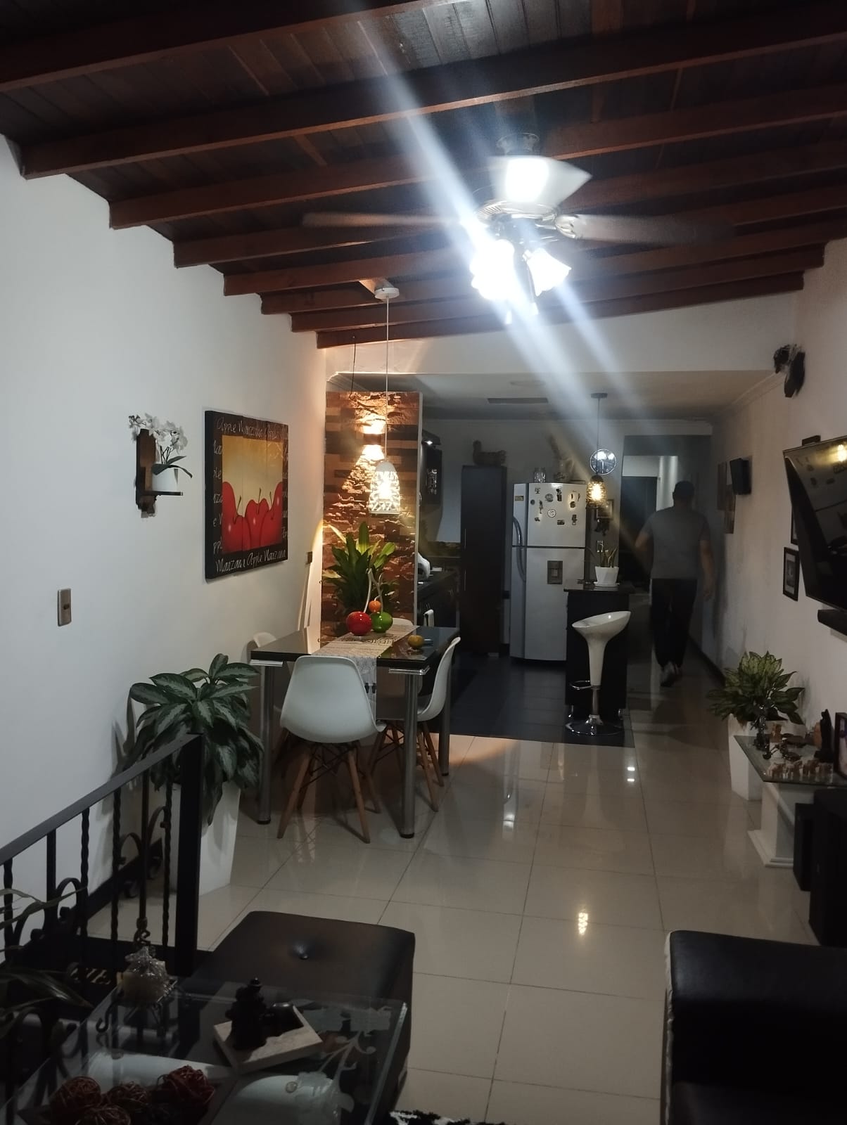 ACASIAS-GUAYABAL, MEDELLÍN - APVE01061