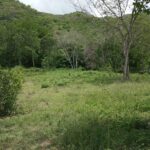SANTA FE DE ANTIOQUIA - FIVE01025