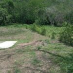 SANTA FE DE ANTIOQUIA - FIVE01025