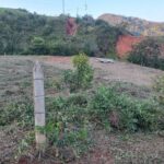 SAN ROQUE - ANTIOQUIA - LTVE01026