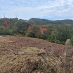 SAN ROQUE - ANTIOQUIA - LTVE01026