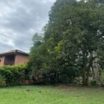 SANTA FE DE ANTIOQUIA, MEDELLÍN - LTVE01042