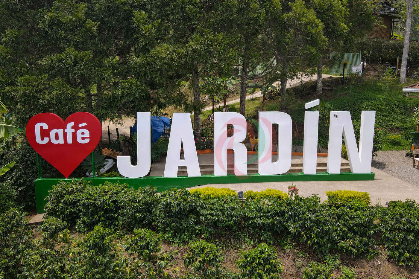 Tour a Jardín Antioquia: Vive la Magia Cafetera view 3