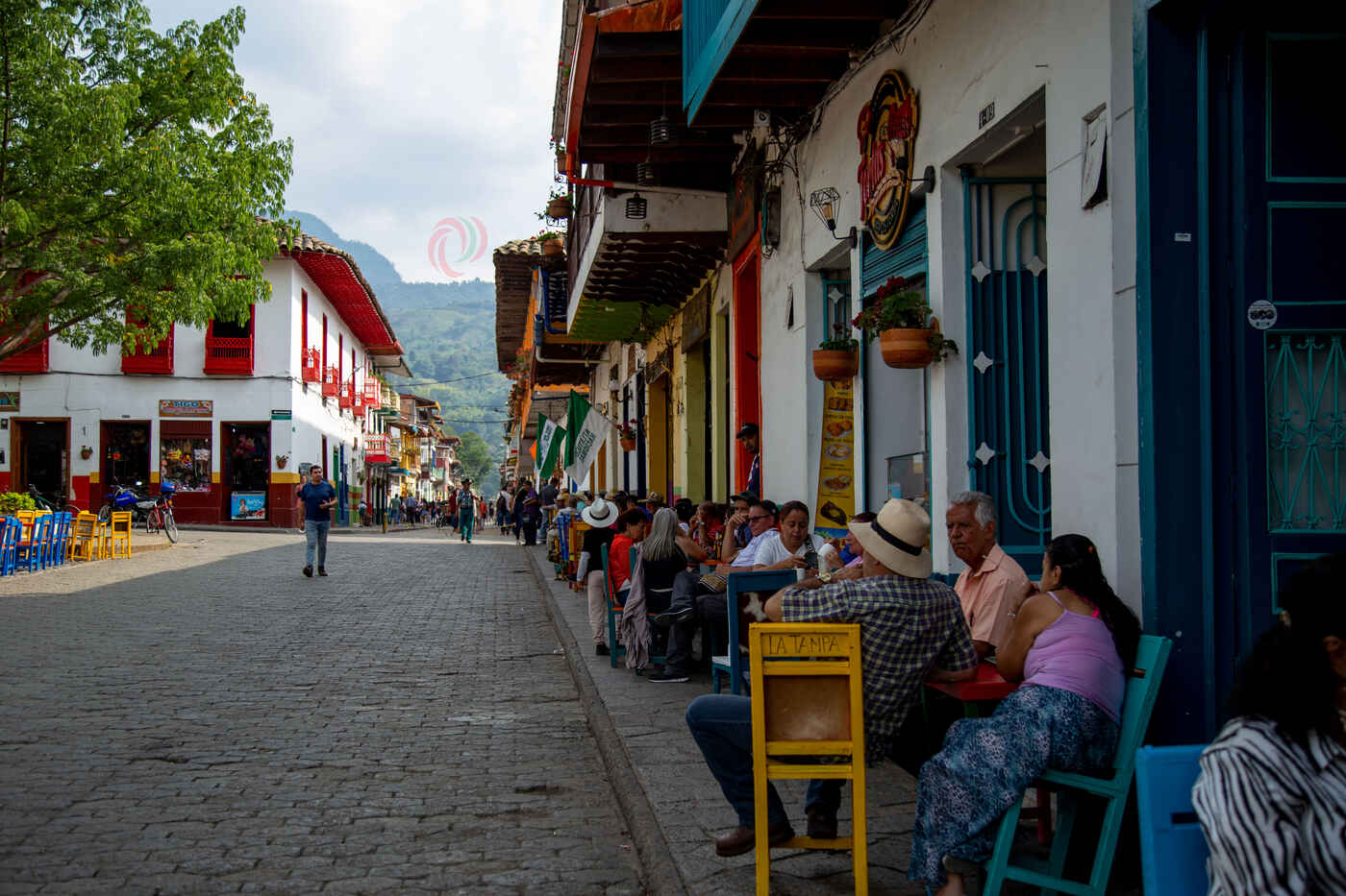 Tour a Jardín Antioquia: Vive la Magia Cafetera - 6