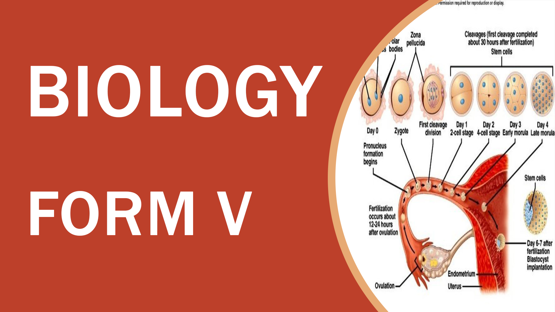 BIOLOGY FORM FIVE