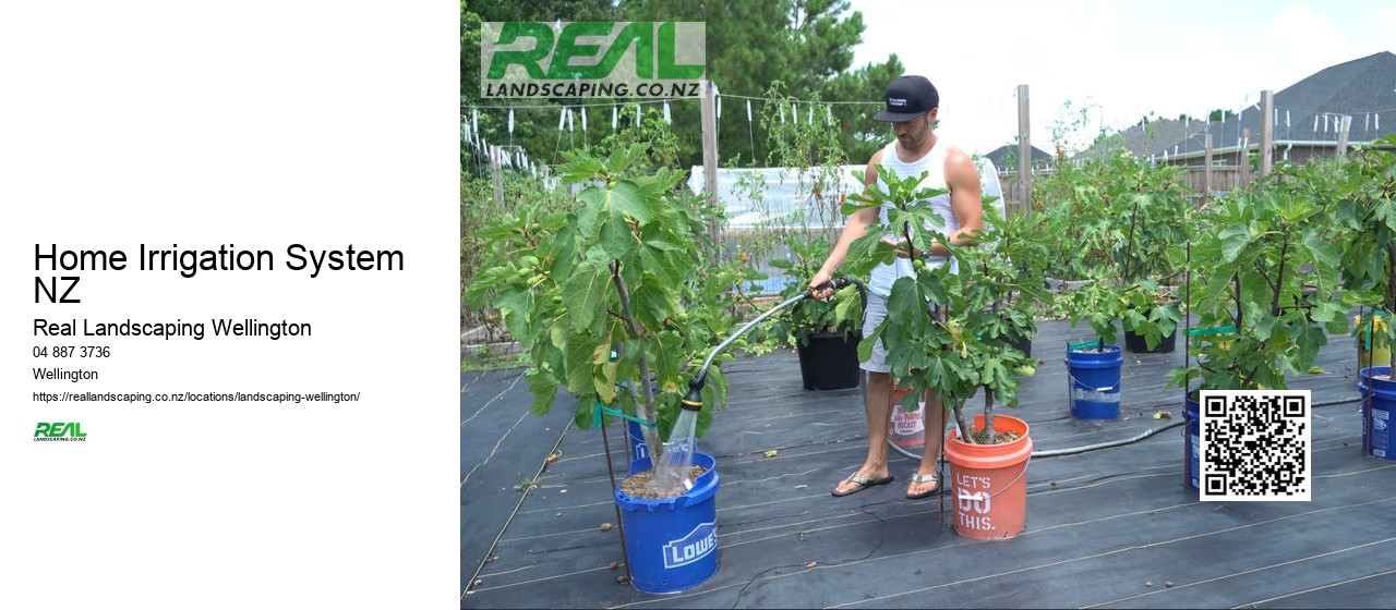 Wellington Shrub Pruning