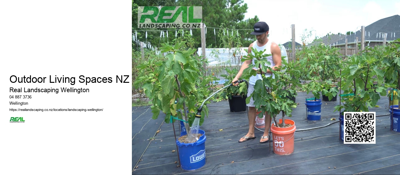 Garden Paving Wellington NZ