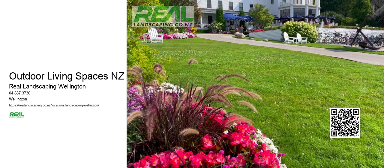 Artificial Grass Installation NZ