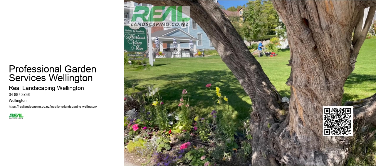 Hydroseeding Wellington NZ