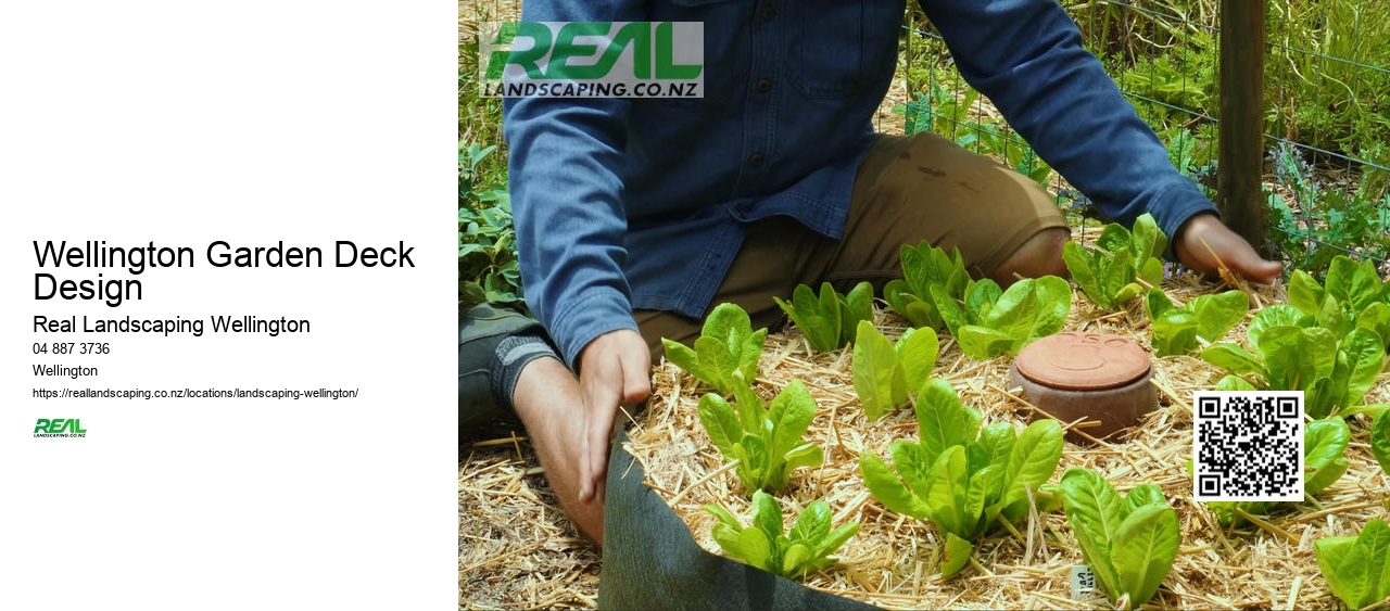 Wellington Garden Groundcover Planting