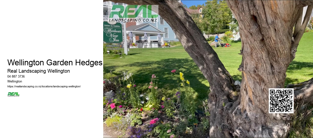 Wellington Garden Hedges