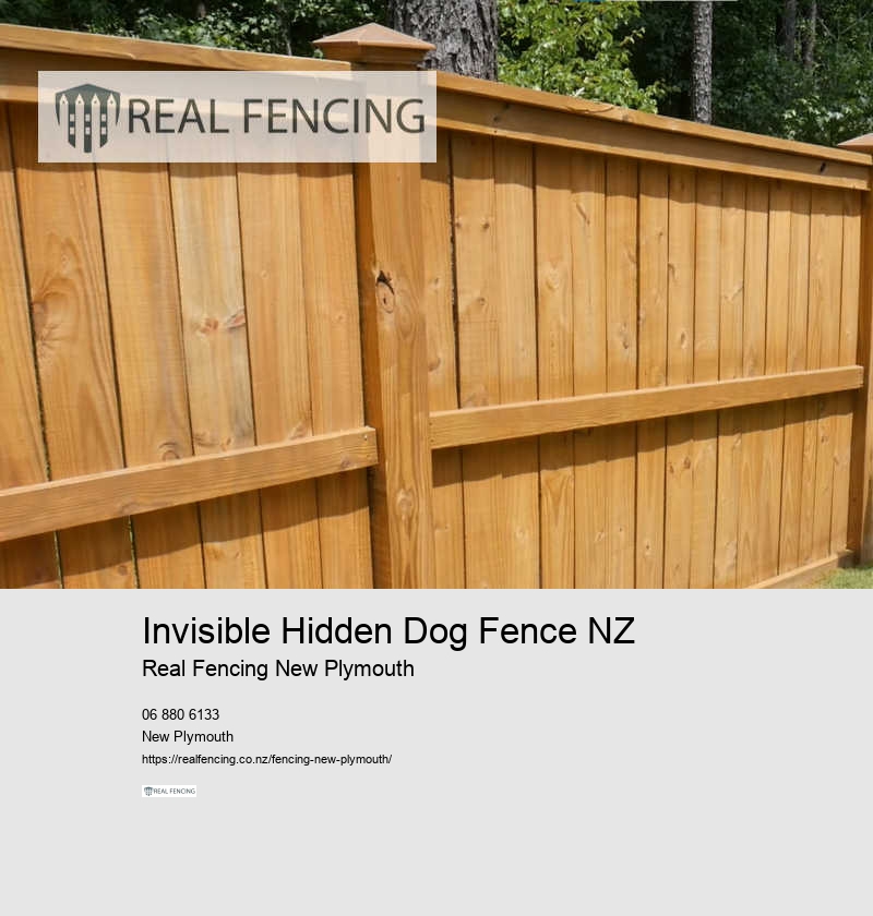 Pool Fencing