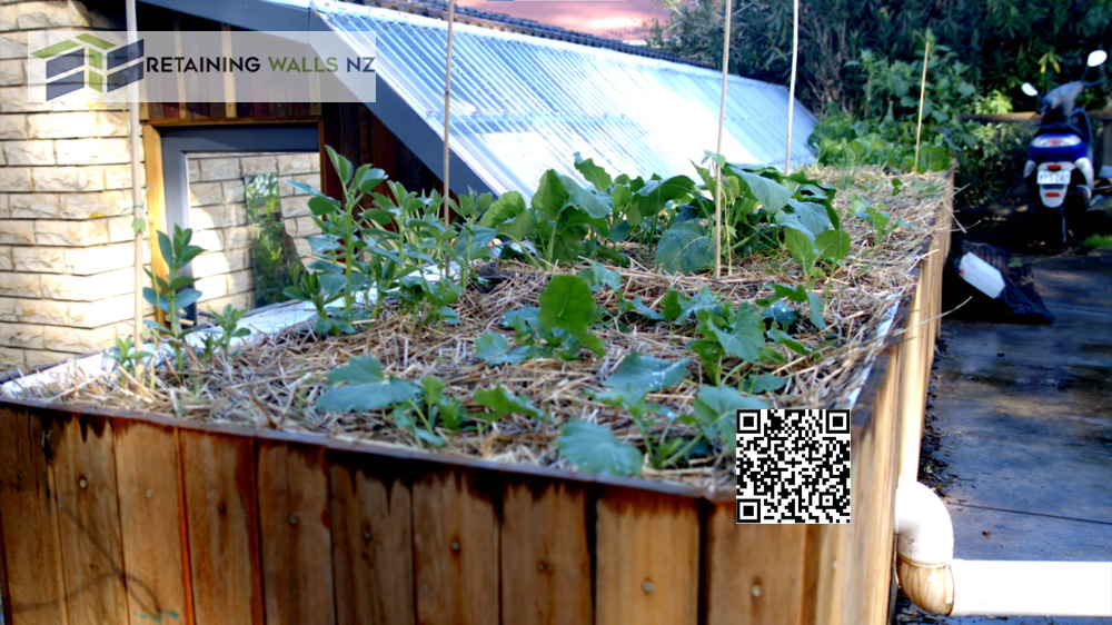 Gabion Basket Retaining Wall Installation