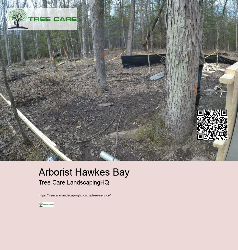 Arborist Hawkes Bay