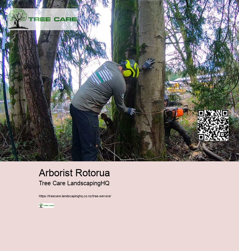 Arborist Rotorua