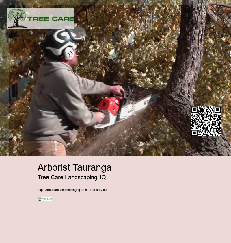 Arborist Whangarei