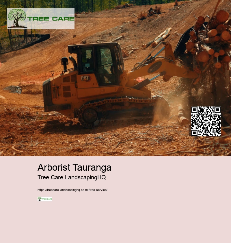 Arborist Tauranga