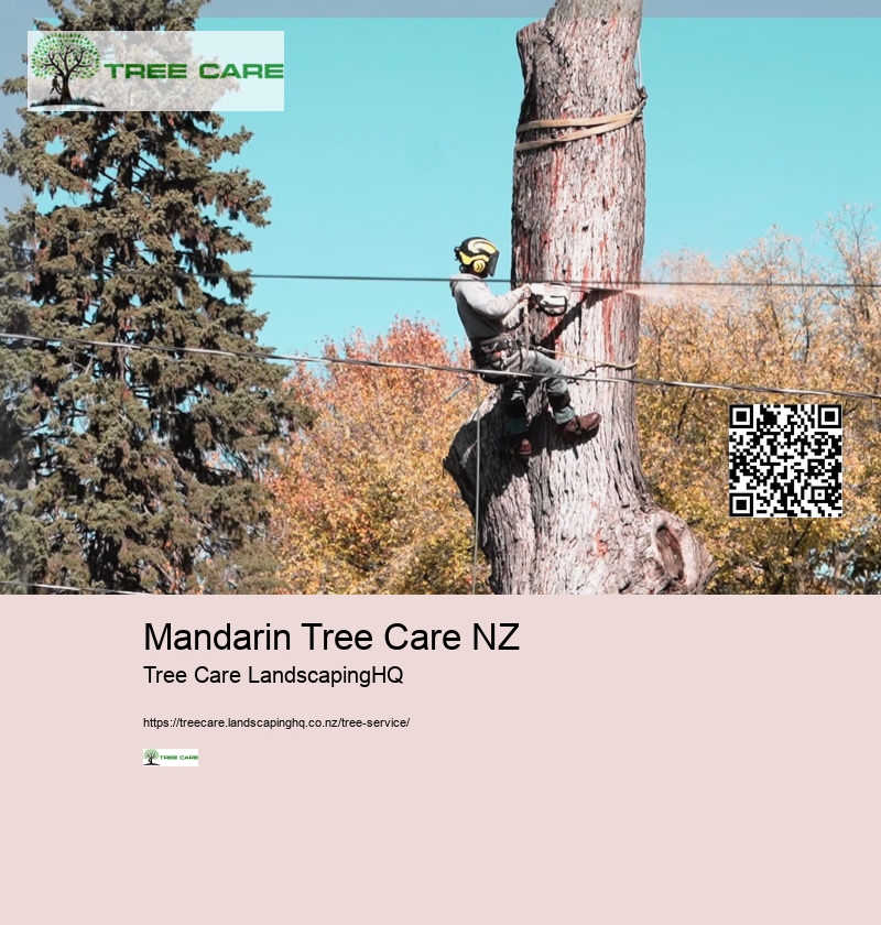 Mandarin Tree Care NZ