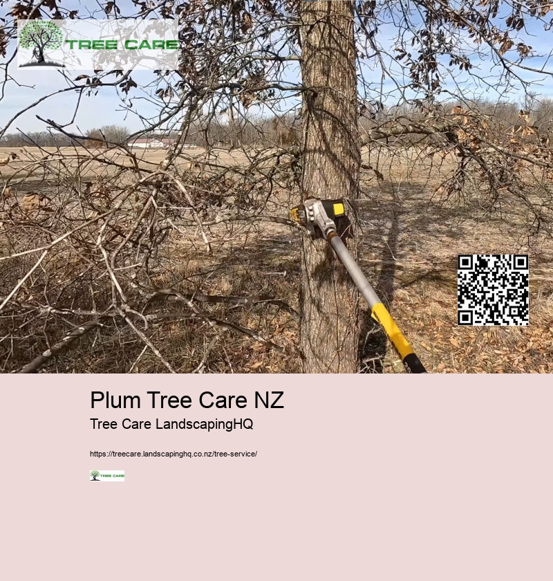 Tree Services Lower Hutt