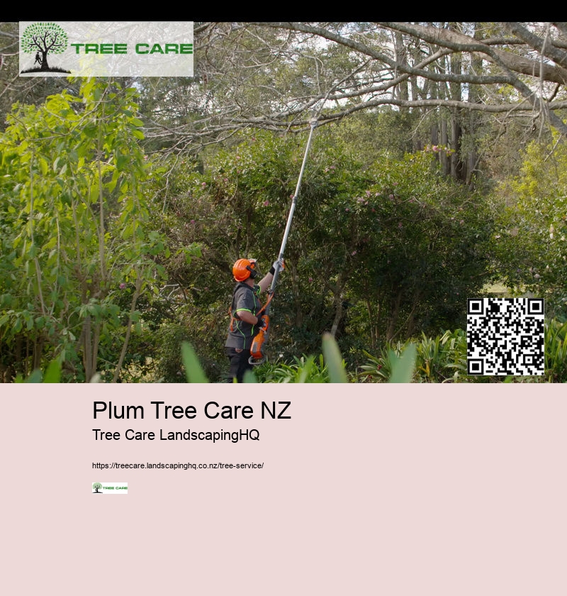 Avocado Tree Care NZ