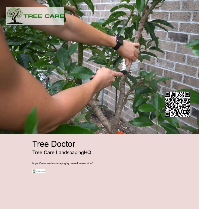 Mandarin Tree Care NZ