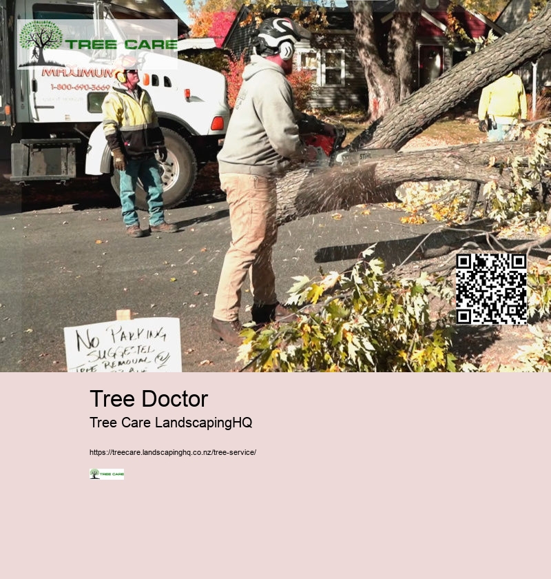 Tree Doctor