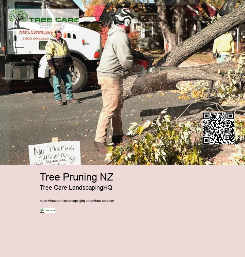 Tree Trimmers Auckland