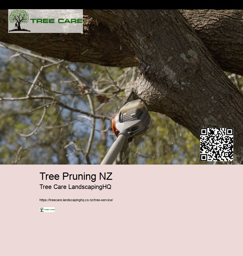 Arborist Kerikeri